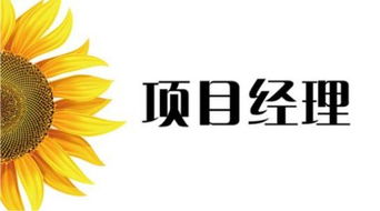 从IVD试验员到项目经理 技术转让的流程与管理要点